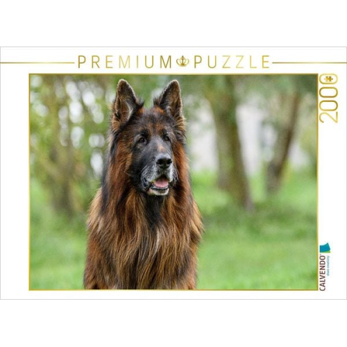 CALVENDO Puzzle 10 jähriger Langstockhaar Schäferhund | 2000 Teile Lege-Größe 90x67cm Foto-Puzzle für glückliche Stunden