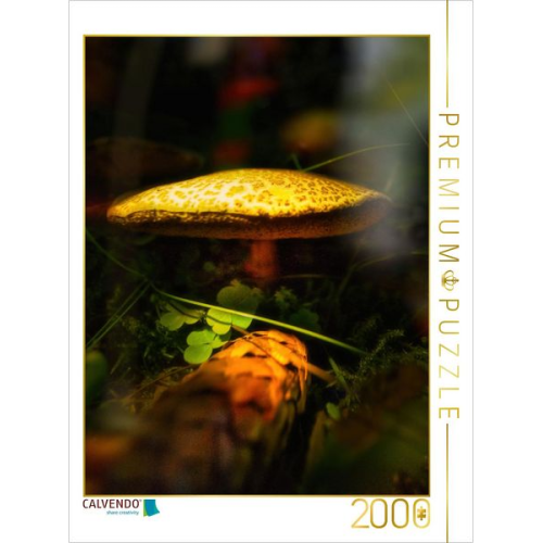 CALVENDO Puzzle Das Besondere sehen | 2000 Teile Lege-Größe 90x67cm Foto-Puzzle für glückliche Stunden