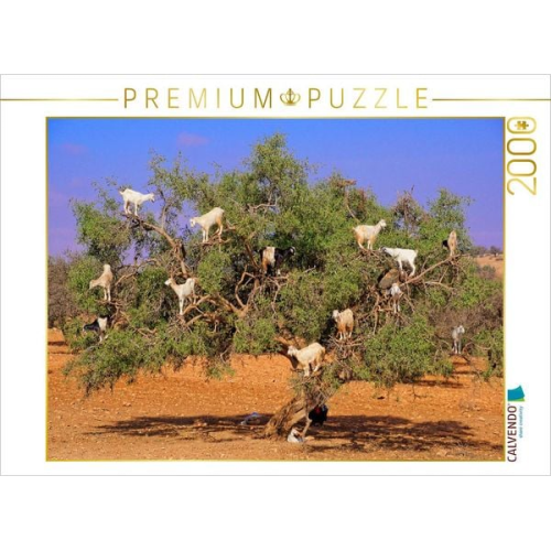 CALVENDO Puzzle Ziegen auf Argan-Baum, bei Rabat/Marokko | 2000 Teile Lege-Größe 90x67cm Foto-Puzzle für glückliche Stunden