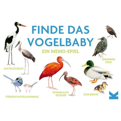 Finde das Vogelbaby