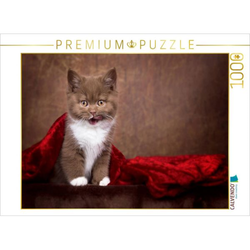CALVENDO Puzzle Ein Motiv aus dem Kalender Kittens - Britisch Kurzhaar Katzenkinder | 1000 Teile Lege-Größe 64x48cm Foto-Puzzle für glückliche Stunden
