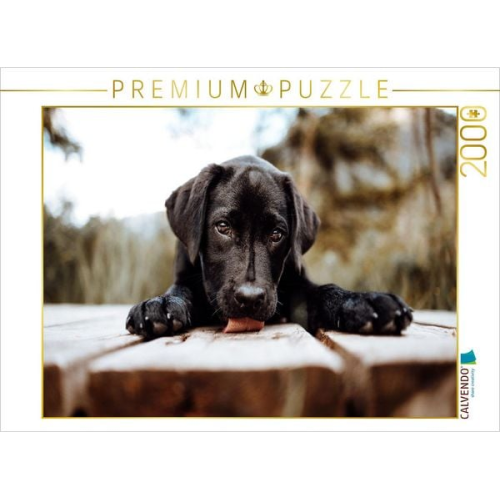 CALVENDO Puzzle Labrador Welpe | 2000 Teile Lege-Größe 90x67cm Foto-Puzzle für glückliche Stunden