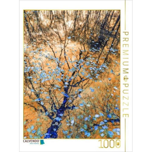 CALVENDO Puzzle Wo Erinnerungen wie Bläter treiben | 1000 Teile Lege-Größe 64x48cm Foto-Puzzle für glückliche Stunden