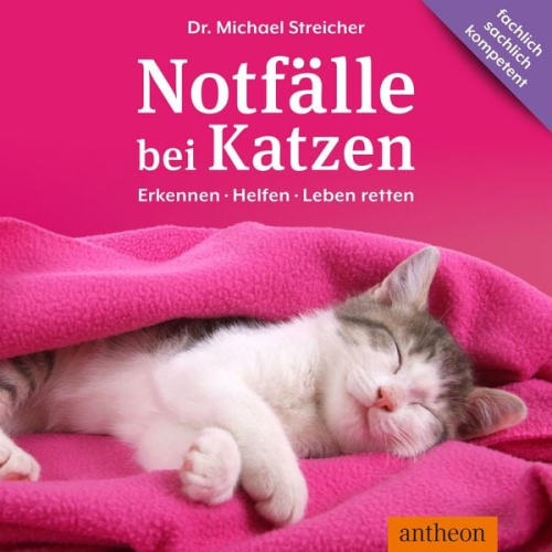 Michael Streicher - Notfälle bei Katzen