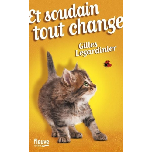 Gilles Legardinier - Legardinier, G: Et soudain tout change