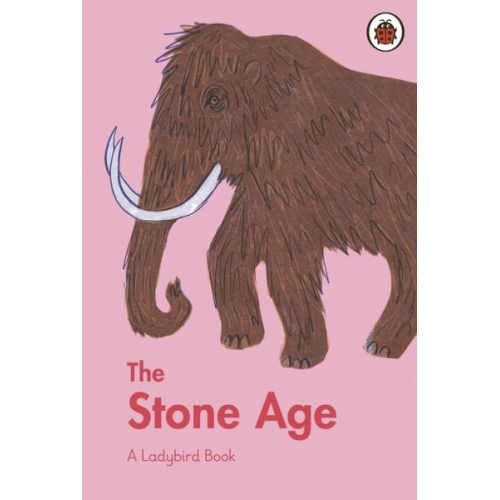 Sidra Ansari - A Ladybird Book: The Stone Age