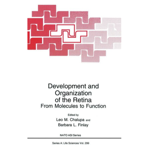 North Atlantic Treaty Organization NATO Advanced Study Institute on Development and Organization of the Retina from Molecules to Function - Development and Organization of the Retina