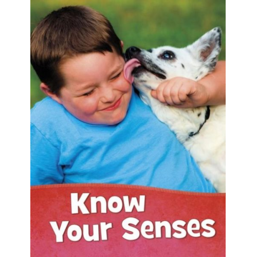 Mari Schuh - Know Your Senses