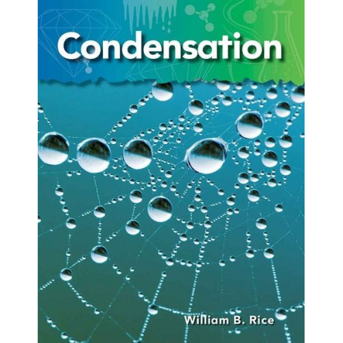 William Rice - Condensation