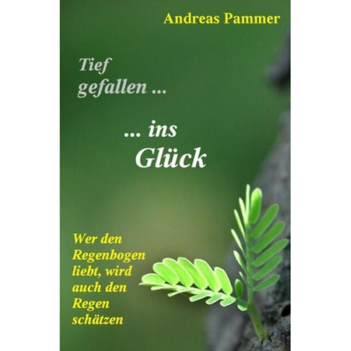 Andreas Pammer - Tief gefallen… …ins Glück