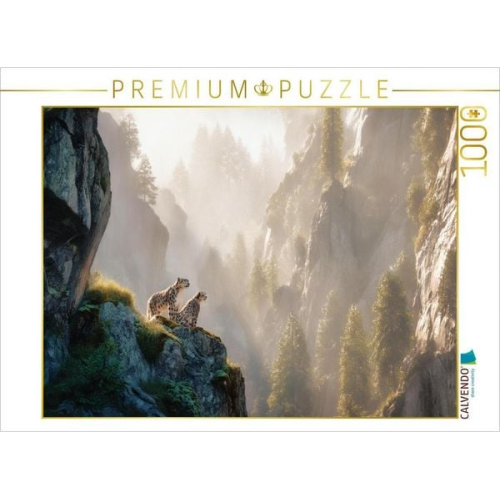 CALVENDO Puzzle Im Reich des Schweigens | 1000 Teile Lege-Größe 64x48cm Foto-Puzzle für glückliche Stunden