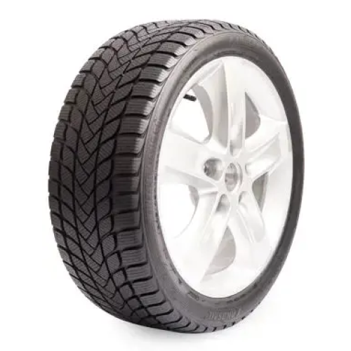 215/55 R17 98H Winter Lander