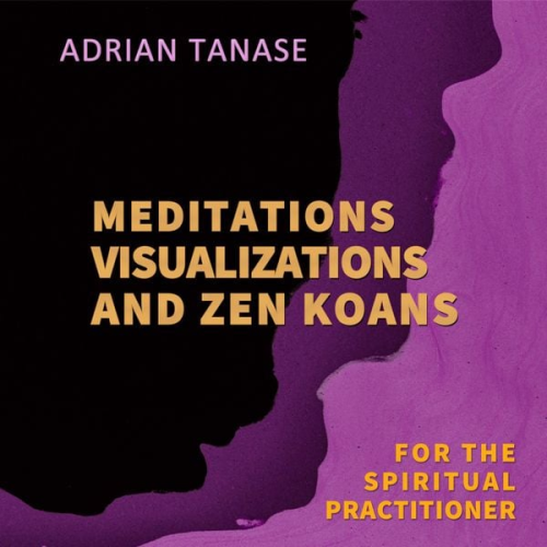 Adrian Tanase - Meditations, Visualizations, and Zen Koans