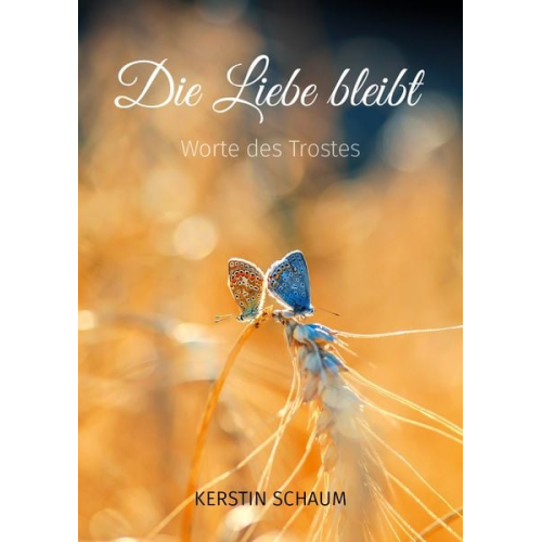 Kerstin Schaum - Die Liebe bleibt