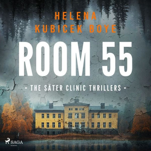 Helena Kubicek Boye - Room 55: a chilling psychological thriller set in Sweden's notorious psychiatric clinic