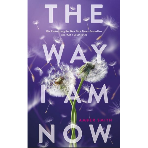 Amber Smith - The way I am now