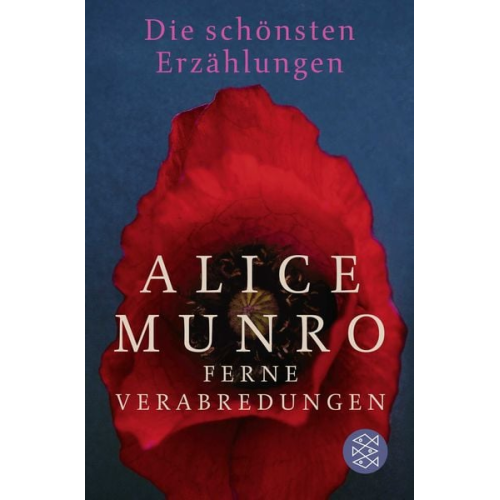 Alice Munro - Ferne Verabredungen