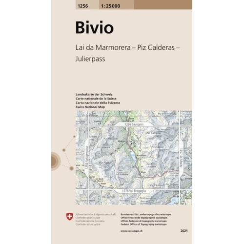 Swisstopo 1 : 25 000 Bivio