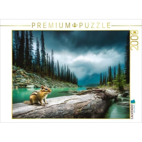 CALVENDO Puzzle Flink wie der Wind | 2000 Teile Lege-Größe 90x67cm Foto-Puzzle für glückliche Stunden