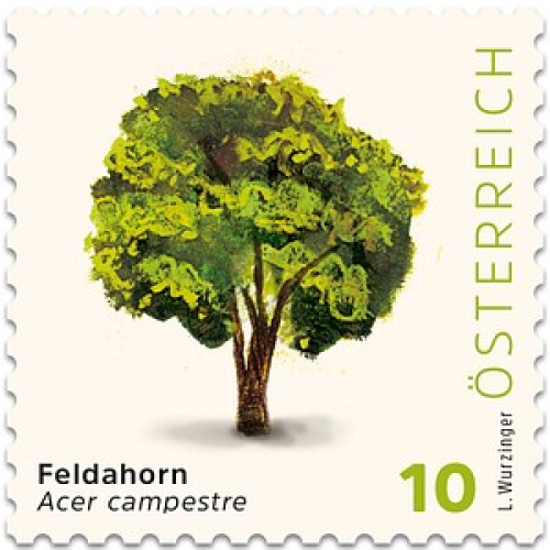Österreichische Post 0,10 € Briefmarken "Feldahorn" selbstklebend, 50 St.