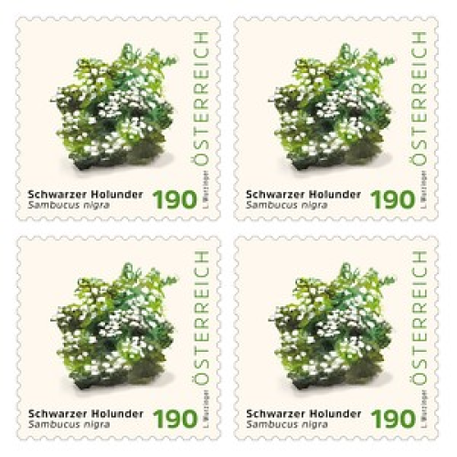 Österreichische Post 1,90 € Briefmarken "Schwarzer Holunder" selbstklebend, 4 St.
